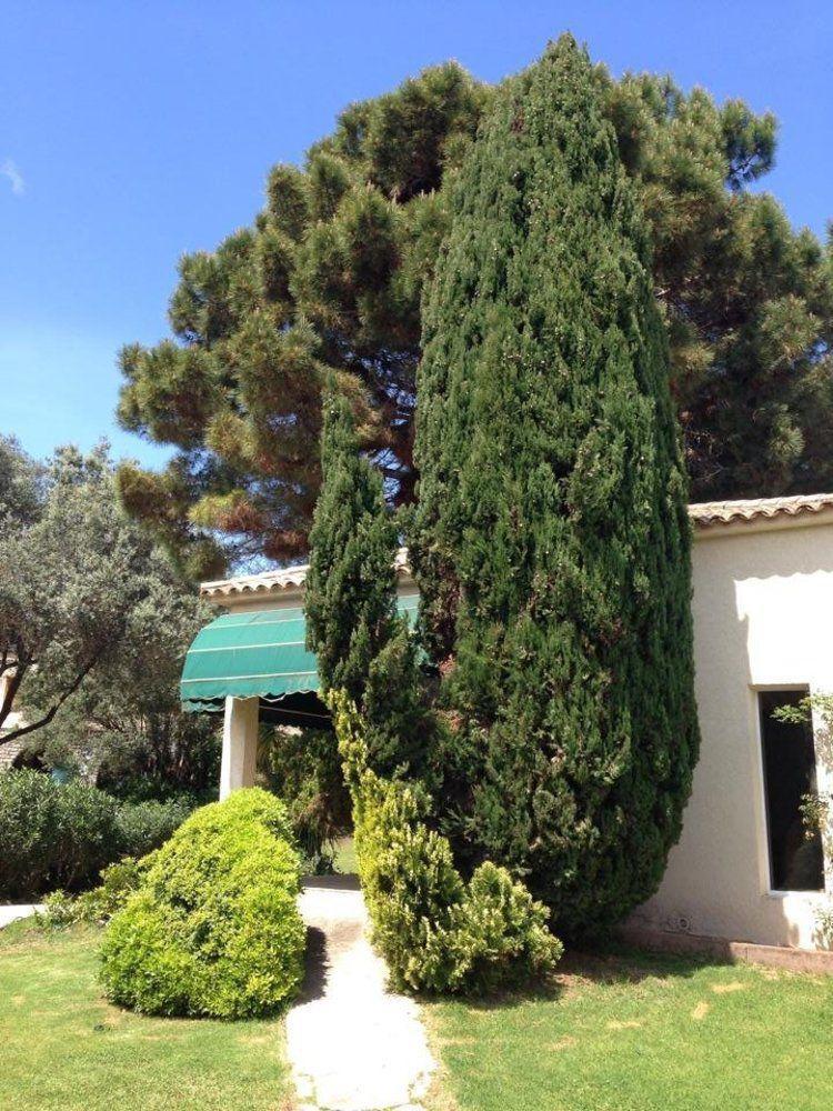 Résidence hôtelière A TRAMA Bonifacio (Corsica) Exterior foto