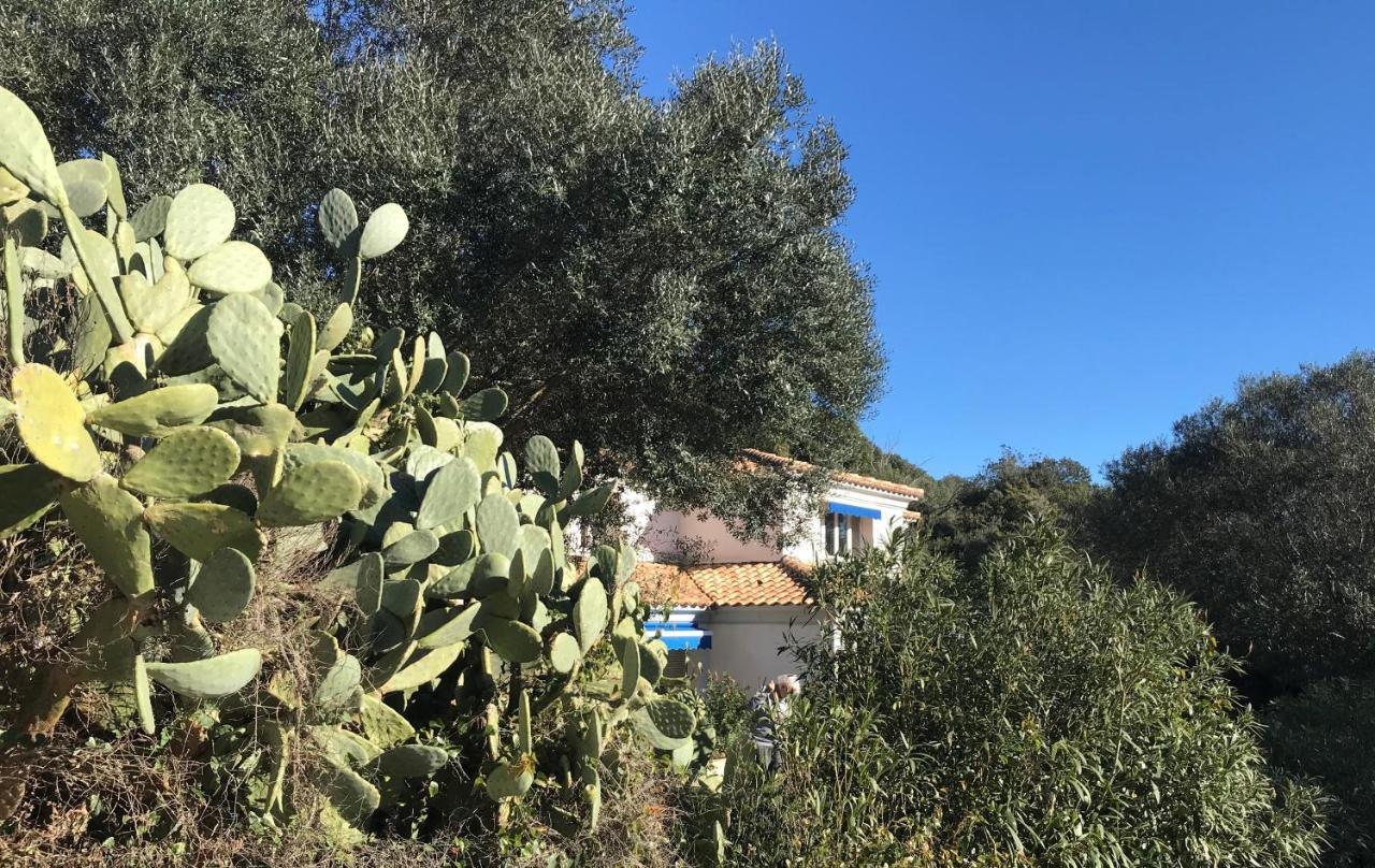 Résidence hôtelière A TRAMA Bonifacio (Corsica) Exterior foto