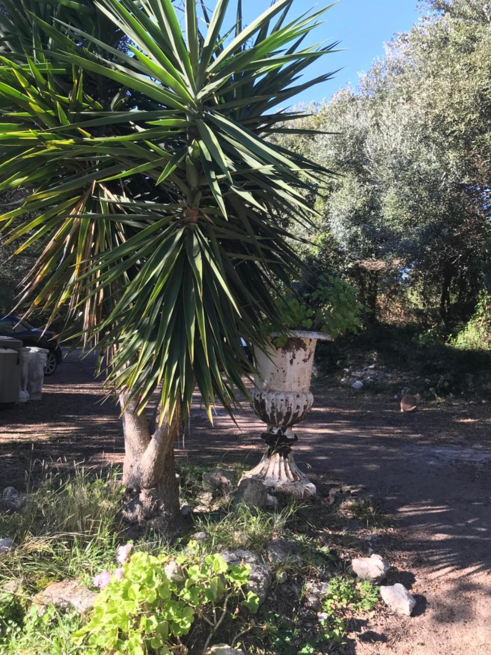 Résidence hôtelière A TRAMA Bonifacio (Corsica) Exterior foto